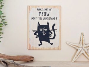 CARTEL DE MADERA "WHAT PART OF MEOU..."